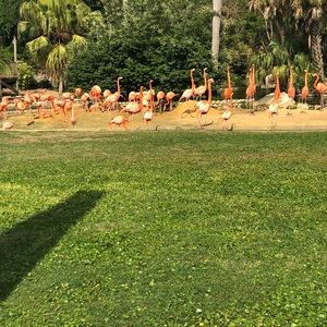 Meet your Posher, Leonda